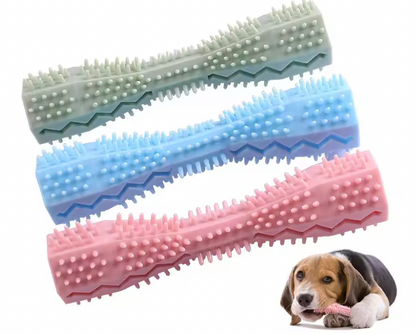 Jouet Brosse à Dent pour chien