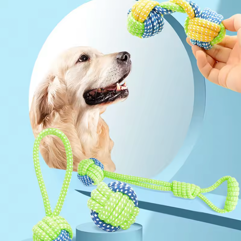Cordes Interactives pour Chien