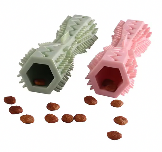Jouet Brosse à Dent pour chien